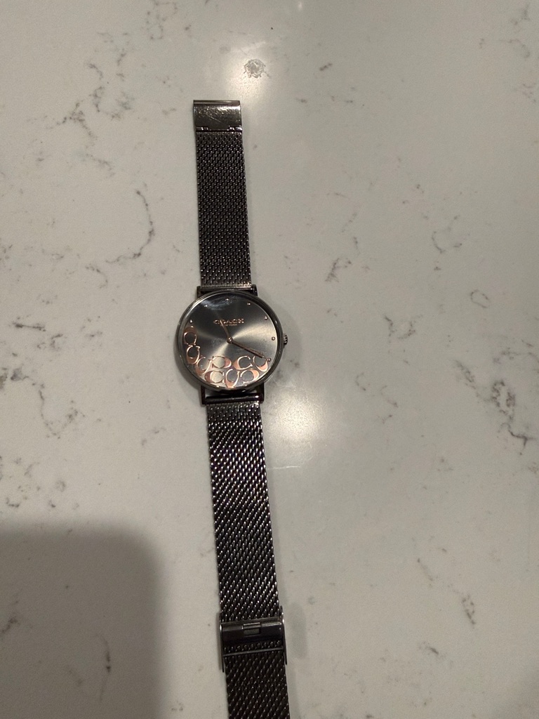 Coach Dark SilverTone Mesh Watch With Rose Gold Accent Circles